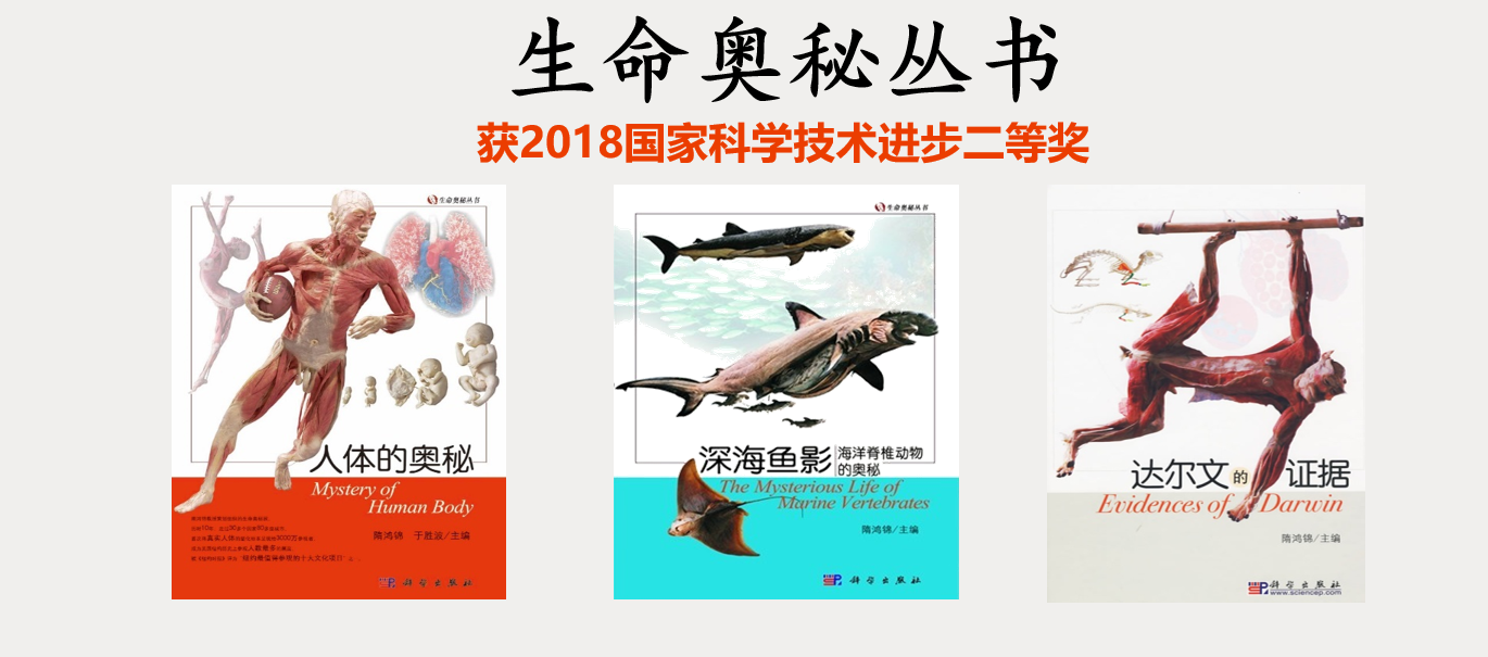 微信图片_20190114103727.png