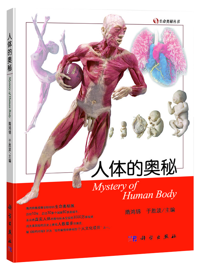 1.人体的奥秘.jpg