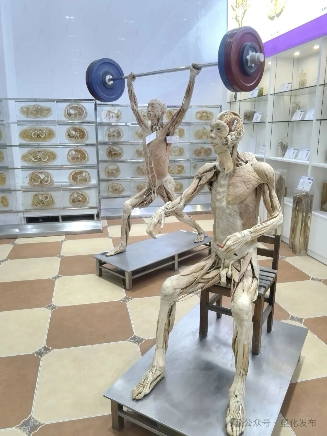 1763091943422699.jpg c0f74f6f62943b7d21732af0b416922b.jpg