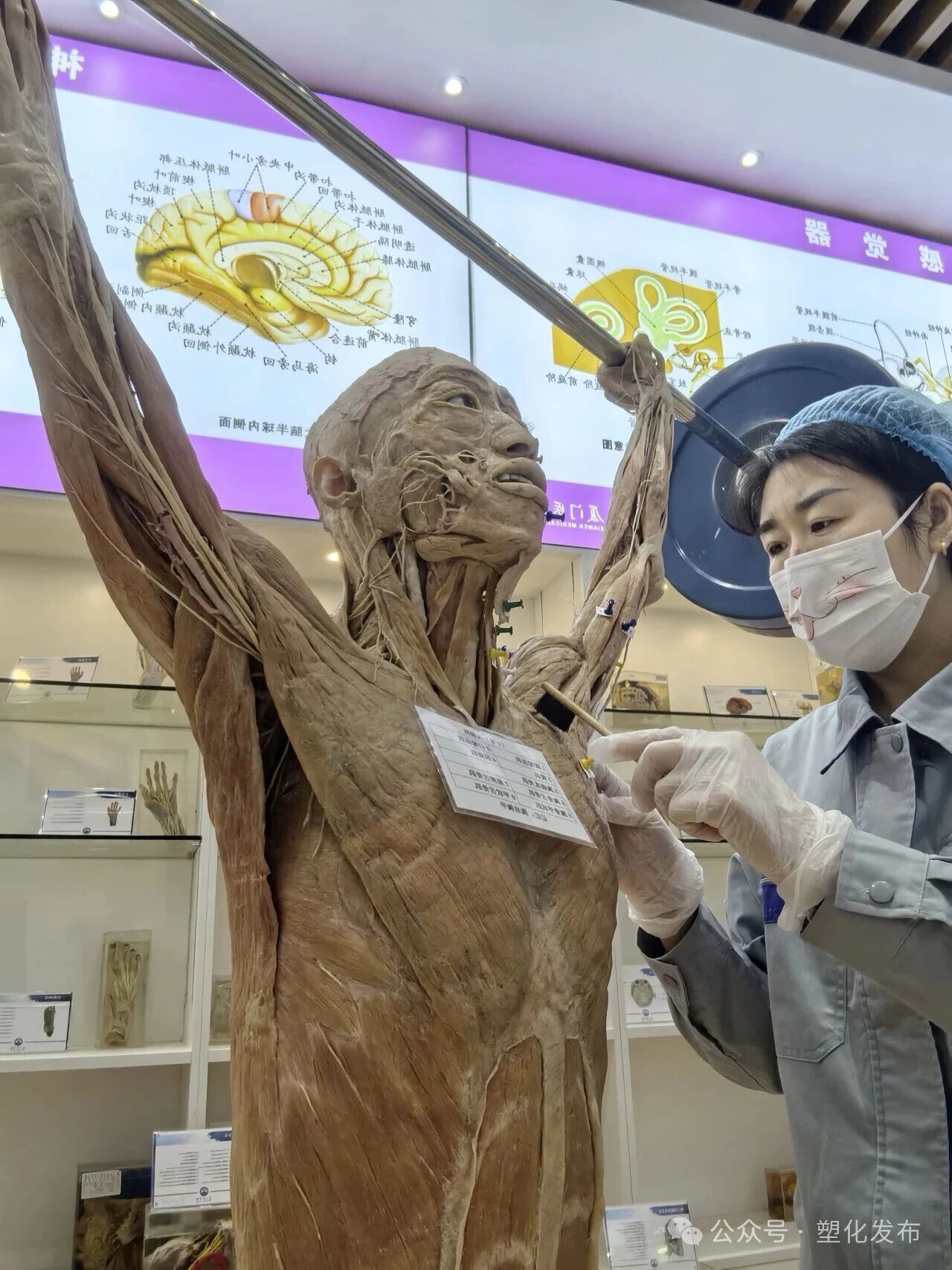 1763092262796709.jpg fa94aade6a1ccb0a5ba6287364645562.jpg