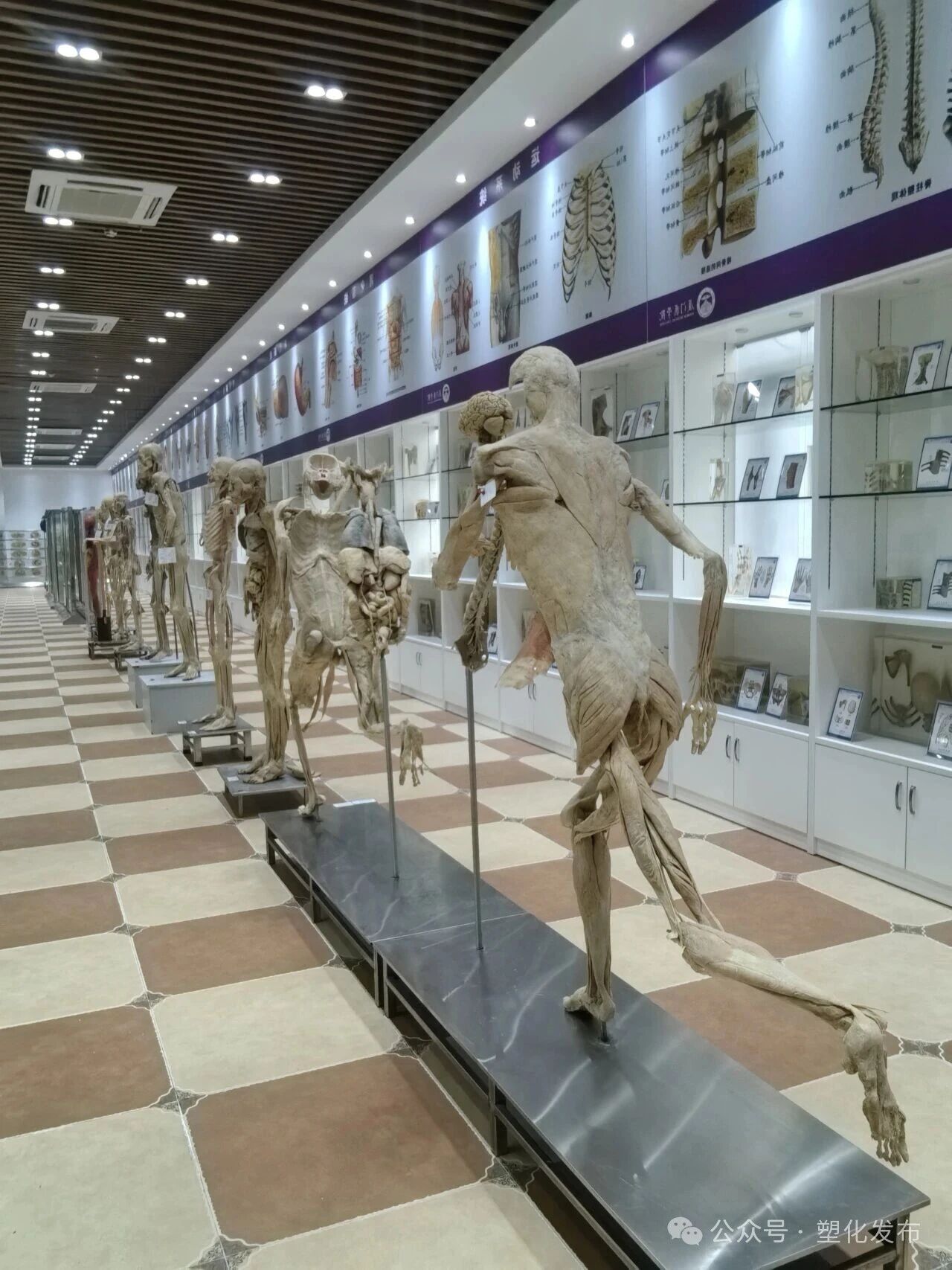 1763092331397457.jpg 0901ac8215d9e71e21d76ac449001879.jpg