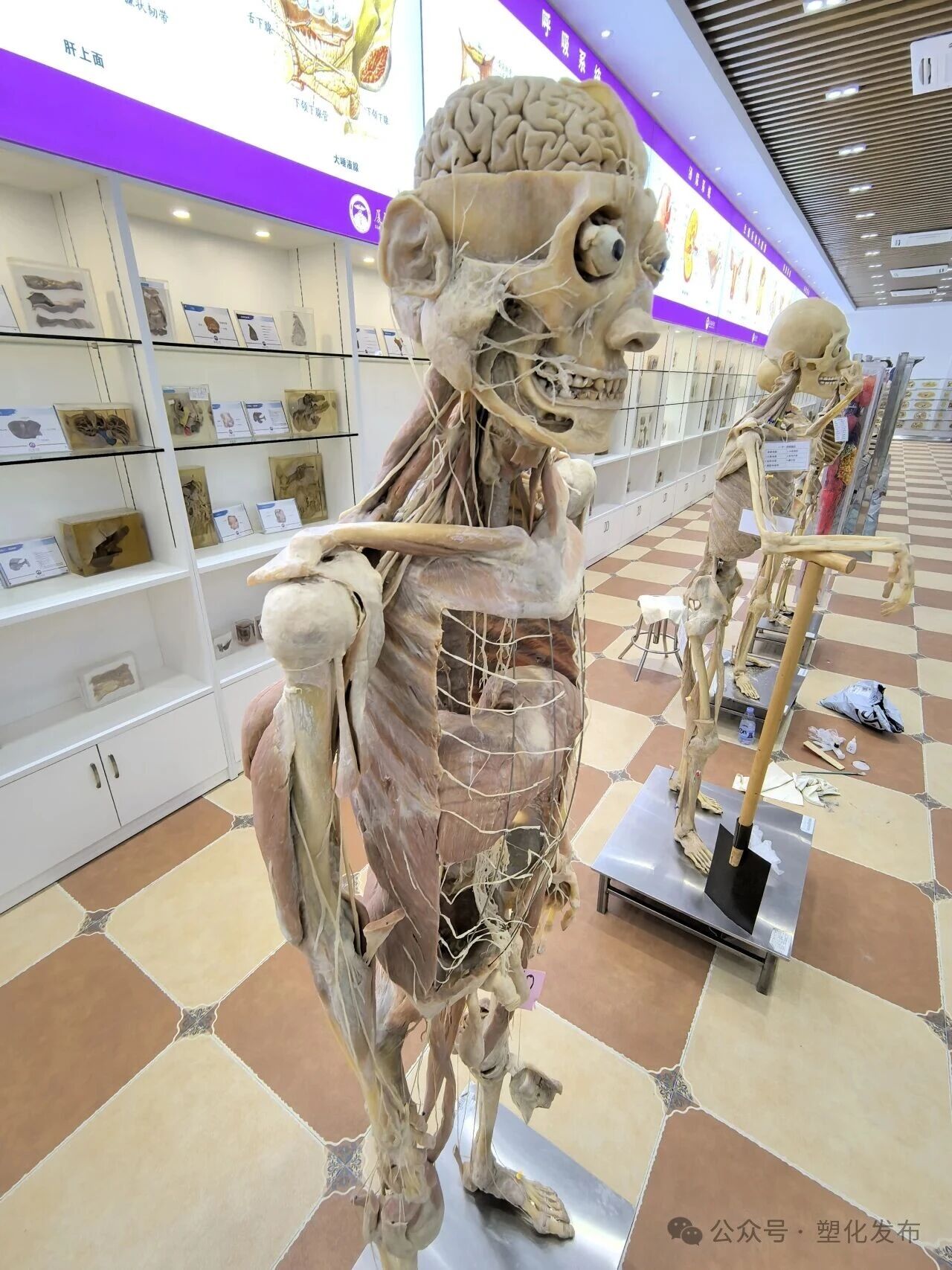 1763092356492447.jpg 5f97f11245bb7f5624d771ca1680a5fd.jpg