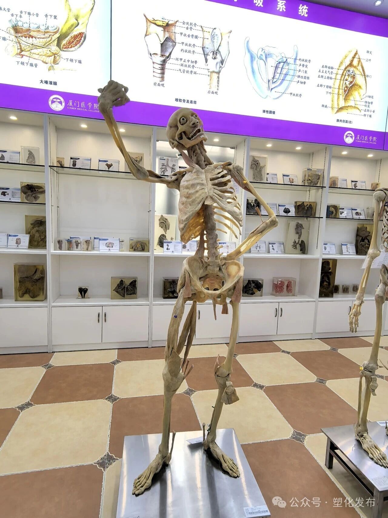 1763092365148877.jpg 73b0772b0d930d828c0d83570e2275da.jpg