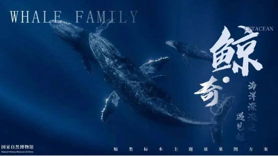 1764041647272432.png image.png